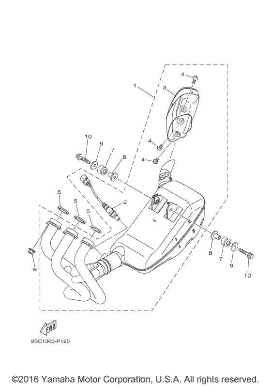 Выхлопная система
